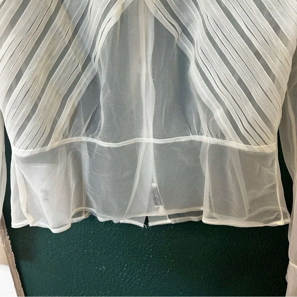 Vintage Miss Debwin Sheer Blouse - Picture 3 of 8